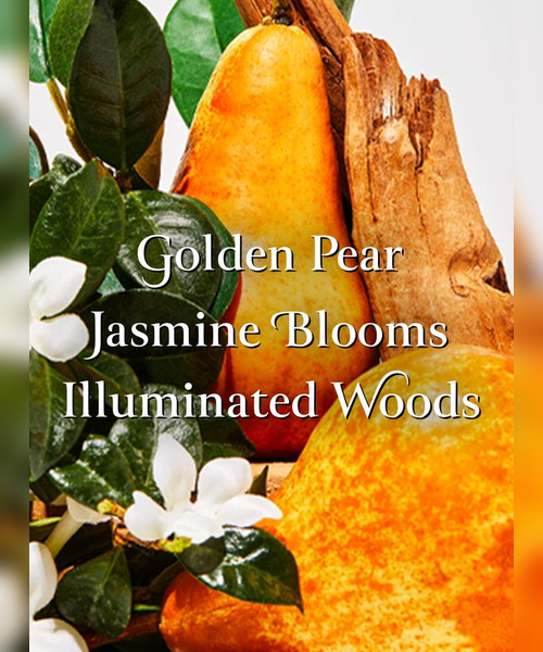 Related Product Image 2