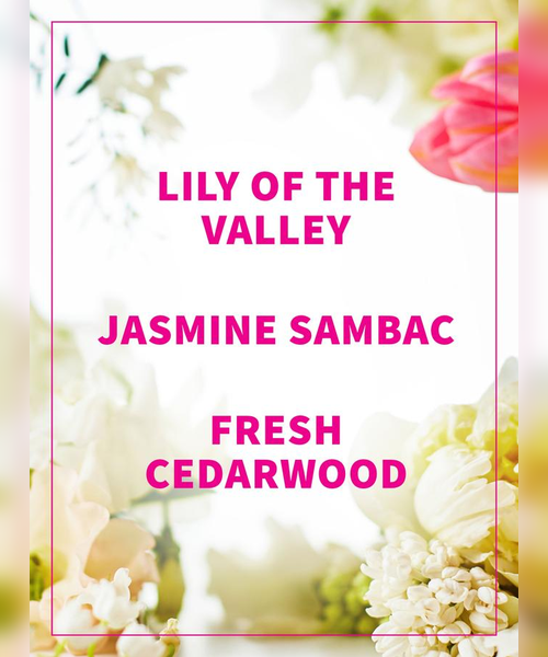 Related Product Image 2